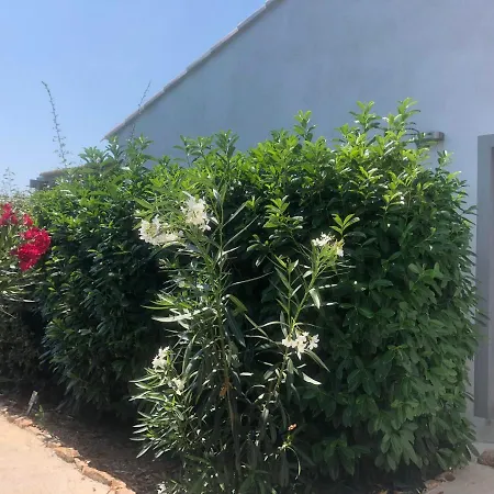 Chez Muriel * Porto-Vecchio (Corsica)